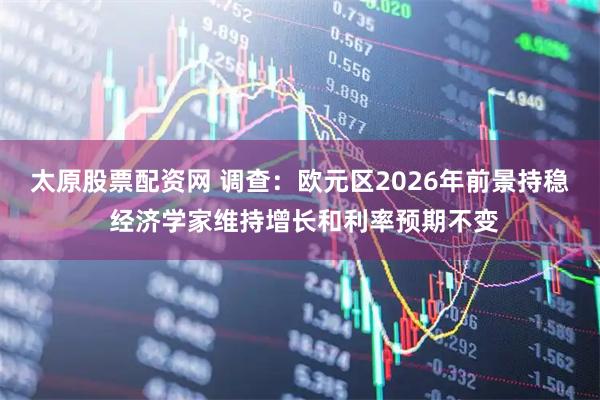 太原股票配资网 调查：欧元区2026年前景持稳 经济学家维持增长和利率预期不变