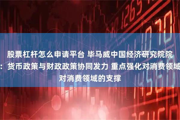 股票杠杆怎么申请平台 毕马威中国经济研究院院长蔡伟：货币政策与财政政策协同发力 重点强化对消费领域的支撑